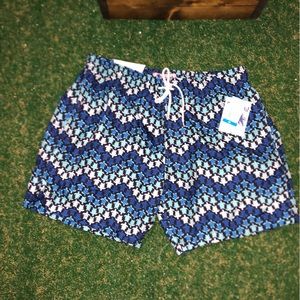 Trunks Surf and Swim Co. Brand Men’s Chevron Turtle Mesh Lined Trunks Size XL